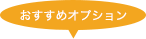 おすすめオプション